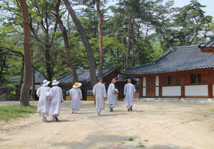 弥勒封城了吗,当一座未来佛之城面对现实的考验 弥勒封城了吗,当一座未来佛之城面对现实的考验