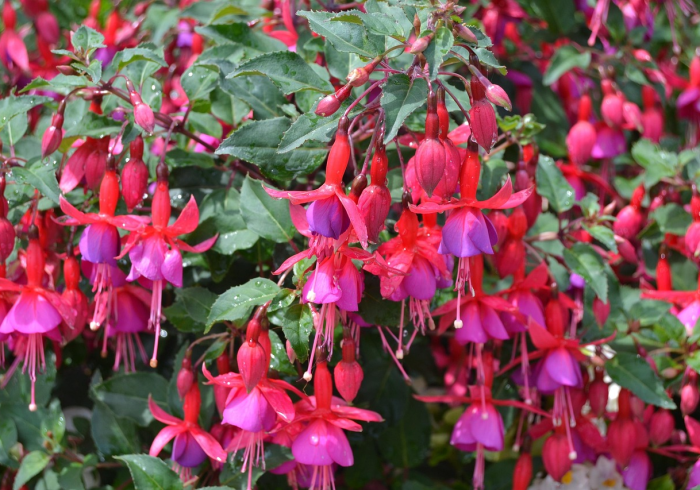 隔离政策查询指南，一键掌握全国动态，从容规划出行