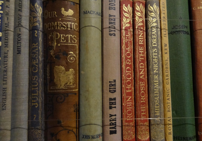 一分钟了解“微信牛牛房卡多少钱”获取房卡教程-哔哩哔哩