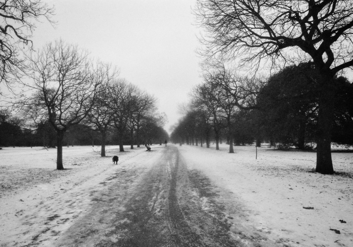 网曝太原一高校，当舆论风暴撞上象牙塔的围墙
