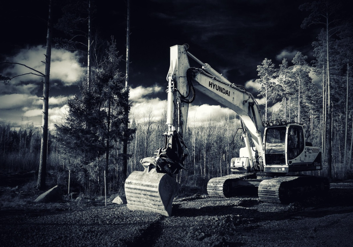 解封之后，内乡的春天静悄悄来临