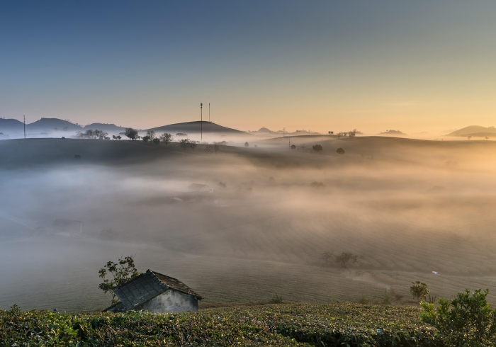 广西疫情,边陲之地的无声战疫与坚韧守望 广西疫情,边陲之地的无声战疫与坚韧守望
