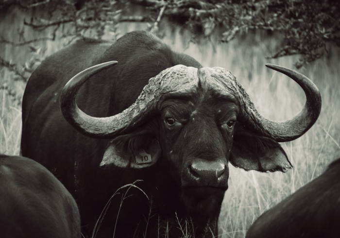 分享实测“微信牛牛群斗牛群”轻松获取房卡全渠道 分享实测“微信牛牛群斗牛群”轻松获取房卡全渠道