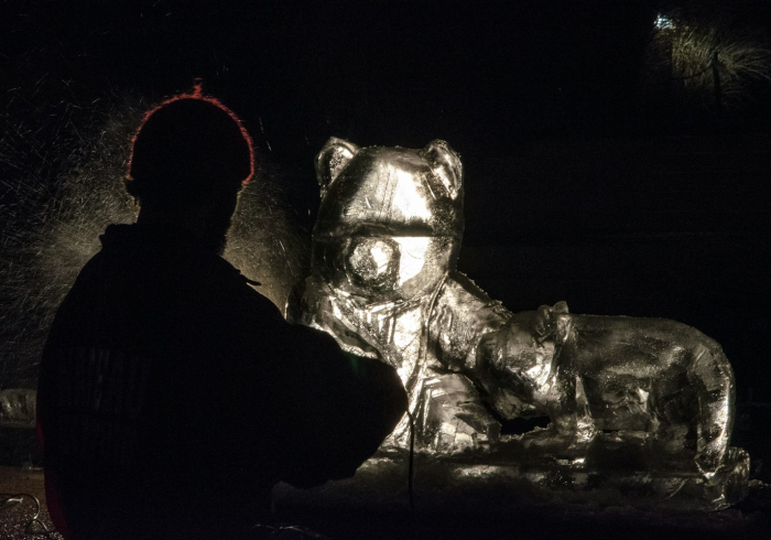 冰与火的交响,冬奥赛场上的力与美 冰与火的交响,冬奥赛场上的力与美