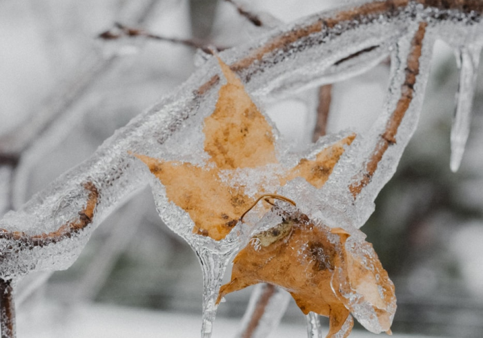 美国感染人数,冰冷数字背后的社会裂痕与人性微光 美国感染人数,冰冷数字背后的社会裂痕与人性微光