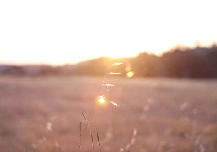 西安有晴天聊天室官网,一束穿越阴霾的温暖数字微光 西安有晴天聊天室官网,一束穿越阴霾的温暖数字微光