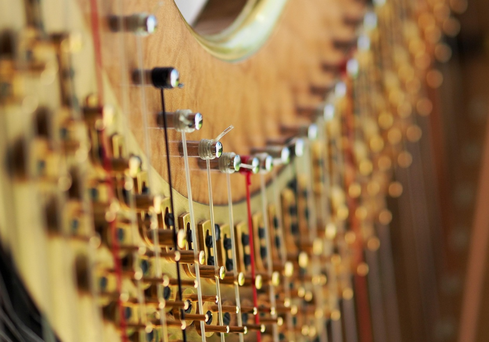 无声的警报,当身体发出这些信号,你可能已站在病毒门前 无声的警报,当身体发出这些信号,你可能已站在病毒门前