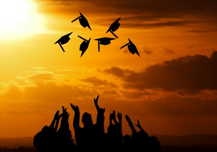 免费通行背后的清明，一场关于记忆、流动与联结的公共仪式