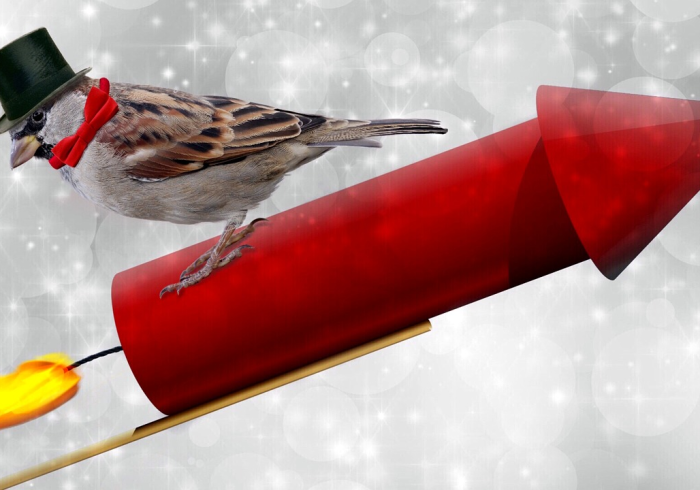 2024年春运，一场被重新定义的迁徙