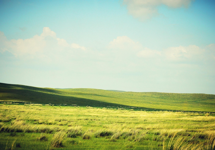 锡林郭勒盟疫情,草原上的静默与坚守 锡林郭勒盟疫情,草原上的静默与坚守