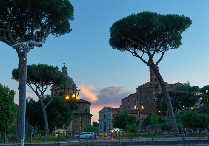 封城记，一座城市的静与一座城的劲