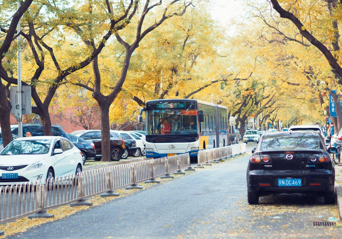 广州，两千万人的流动盛宴与城市韧性