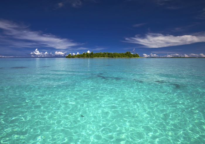 海南疫情4月18日，一场无声的台风与坚韧的岛屿