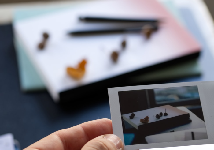 秒懂教程“新道游拼三张房卡”房卡详细充值 秒懂教程“新道游拼三张房卡”房卡详细充值