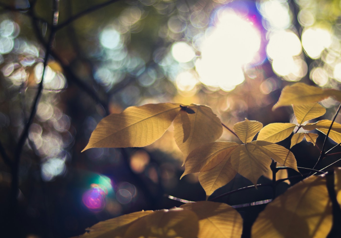 全攻略普及“微信群链接牛牛房卡”获取房卡教程-哔哩哔哩 全攻略普及“微信群链接牛牛房卡”获取房卡教程-哔哩哔哩