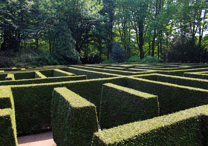 康复后复阳,免疫迷宫的警示与启示 康复后复阳,免疫迷宫的警示与启示