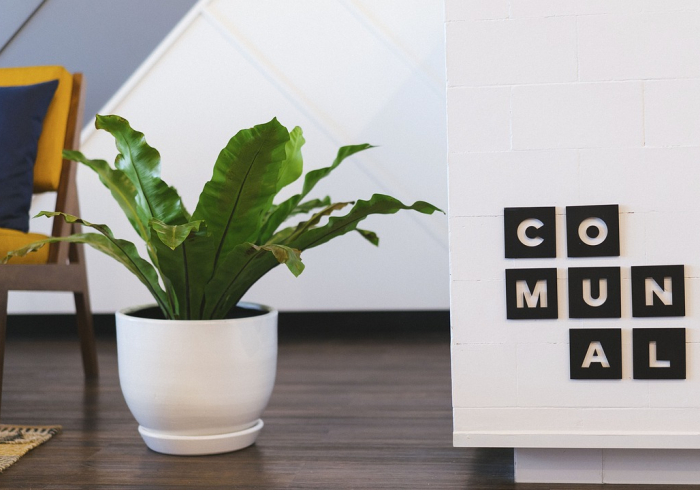 玩家必备教程“微信牛牛怎么创建房间”房卡链接获取 玩家必备教程“微信牛牛怎么创建房间”房卡链接获取