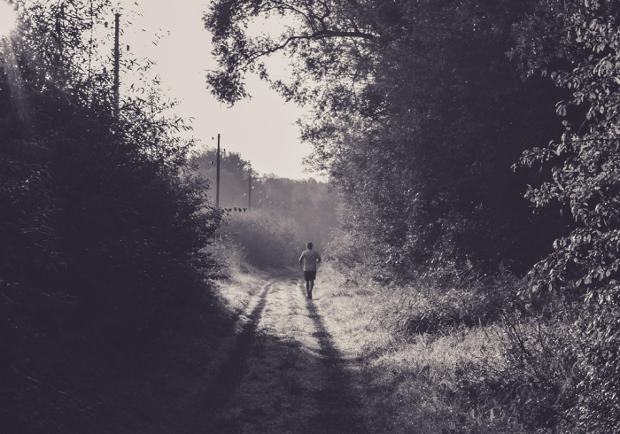 股吧里的000554,数字丛林中的情绪暗流与投资理性 股吧里的000554,数字丛林中的情绪暗流与投资理性