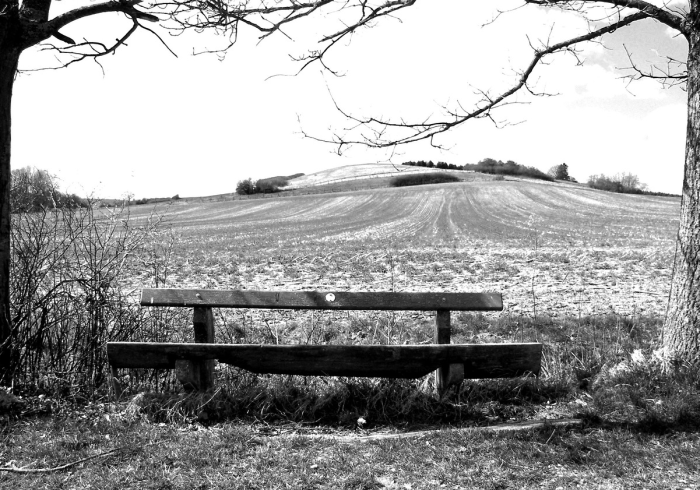 解封的春天，一座城的呼吸与重生