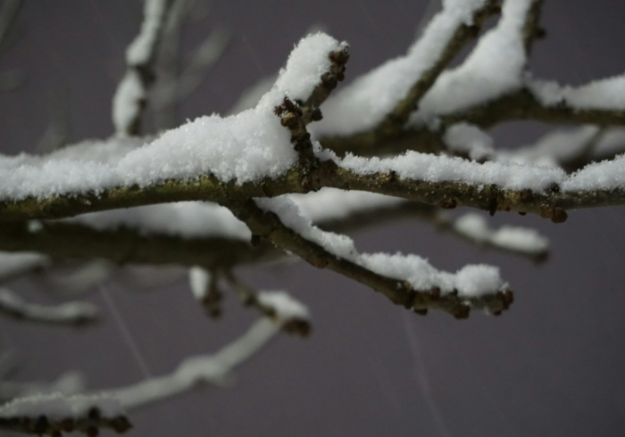 寒江锁雾,边城淬骨,黑河天气书写的北境诗篇 寒江锁雾,边城淬骨,黑河天气书写的北境诗篇
