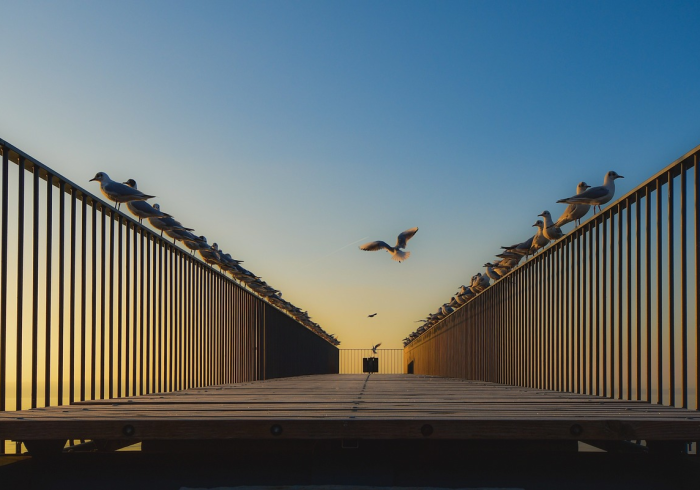 韩国飞南京航班查询,疫情后中韩空中桥梁的重塑与展望 韩国飞南京航班查询,疫情后中韩空中桥梁的重塑与展望