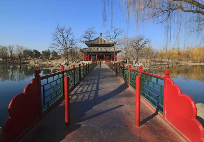 深圳摘星教育,当DSE成为大湾区青年的第二座桥 深圳摘星教育,当DSE成为大湾区青年的第二座桥