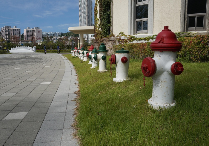 上海人民公园,疫情围城中的呼吸阀门 上海人民公园,疫情围城中的呼吸阀门