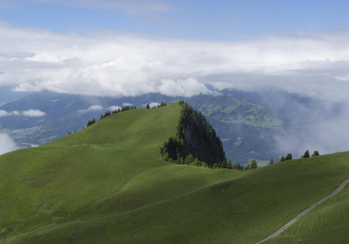 内蒙古疫情最消息,草原上的坚守与希望 内蒙古疫情最消息,草原上的坚守与希望