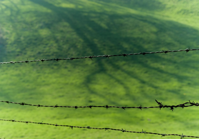 新增47例，内蒙古如何守住草原健康线？