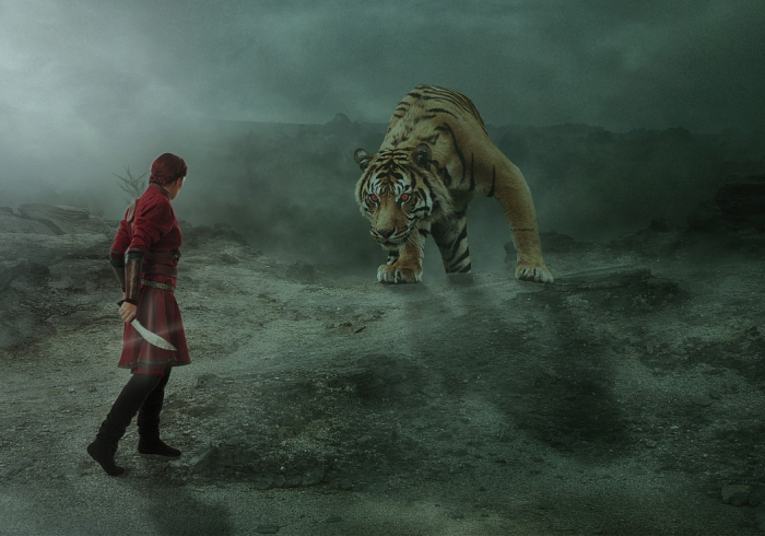 疫情高风险地区排名,一张动态地图背后的治理逻辑与民生温度 疫情高风险地区排名,一张动态地图背后的治理逻辑与民生温度