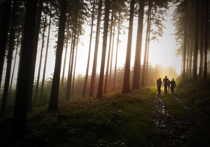 武汉验房，在水泥森林里，为家找回失落的尊严