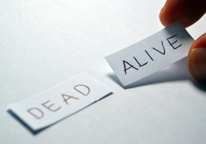 房卡必备教程“牛牛房卡从哪买”房卡获取方式 房卡必备教程“牛牛房卡从哪买”房卡获取方式