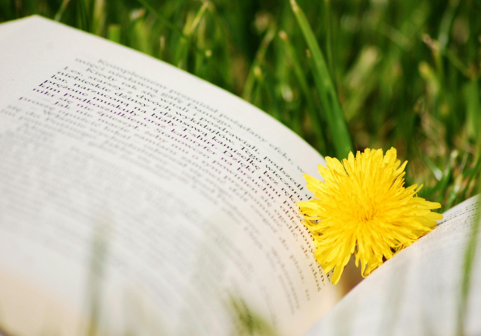 山东高考2021,一场在特殊夏日里准时敲响的人生钟声 山东高考2021,一场在特殊夏日里准时敲响的人生钟声