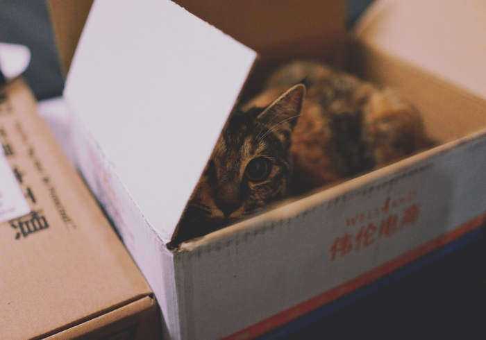 一分钟介绍使用“链接牛牛房卡购买”房卡怎么购买 一分钟介绍使用“链接牛牛房卡购买”房卡怎么购买