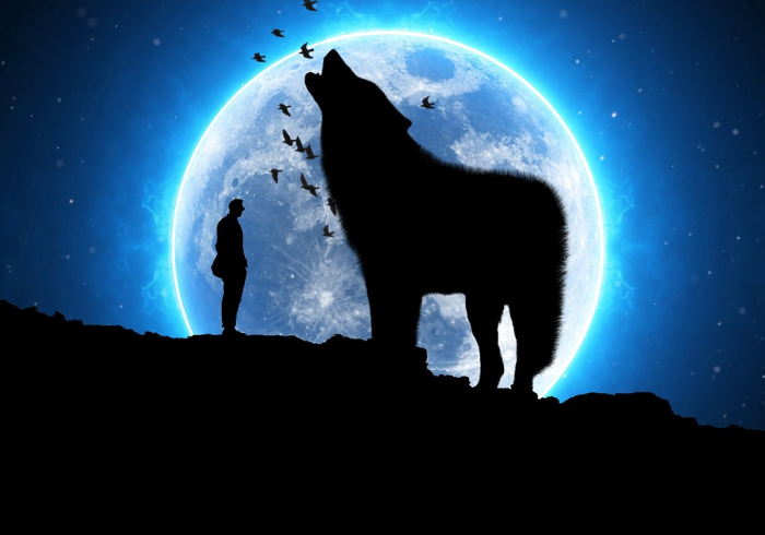 免费检测,照亮社会隐秘角落的温柔光束 免费检测,照亮社会隐秘角落的温柔光束