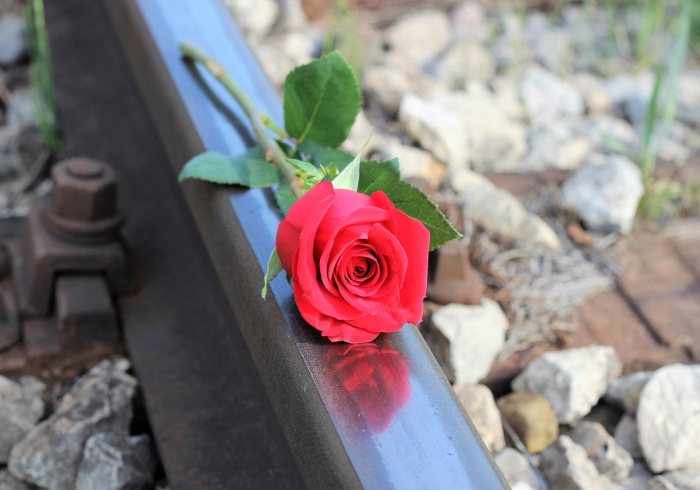 玫瑰花园游戏破解版,虚拟捷径如何摧毁真实的芬芳 玫瑰花园游戏破解版,虚拟捷径如何摧毁真实的芬芳