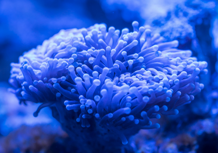 时间的刻度,当冬至与春节在岁月长河中重逢 时间的刻度,当冬至与春节在岁月长河中重逢