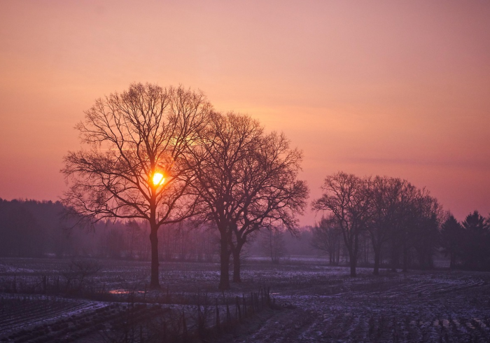 清明断想,被疫情重塑的哀思与假期 清明断想,被疫情重塑的哀思与假期