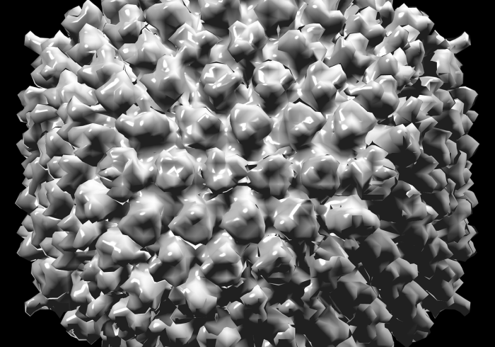 别把肺炎支原体当新病毒,科学认识近期感染高峰 别把肺炎支原体当新病毒,科学认识近期感染高峰