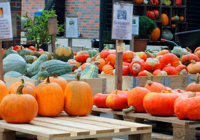 浙江数字战疫，实时动态背后的精密智控网络