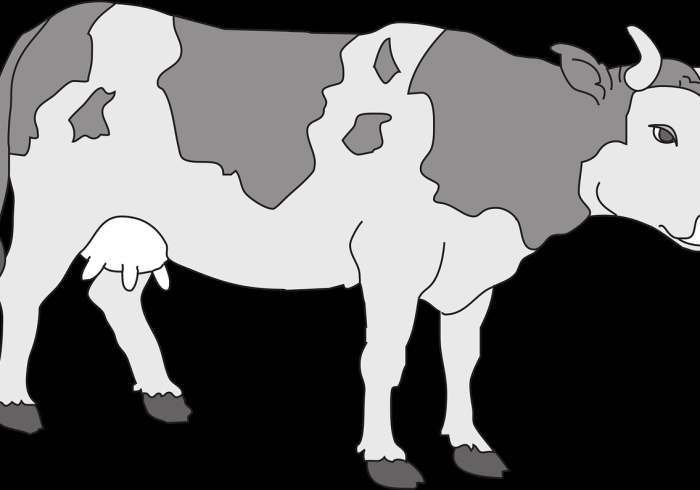 秒懂百科“微信牛牛群斗牛群”链接房卡在哪里获取 秒懂百科“微信牛牛群斗牛群”链接房卡在哪里获取