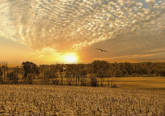 无声的统计,有情的生命,数字背后的人间悲欢 无声的统计,有情的生命,数字背后的人间悲欢