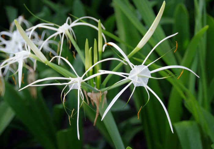 最新中风险地区查询指南,动态防控下的信息获取与理性应对 最新中风险地区查询指南,动态防控下的信息获取与理性应对