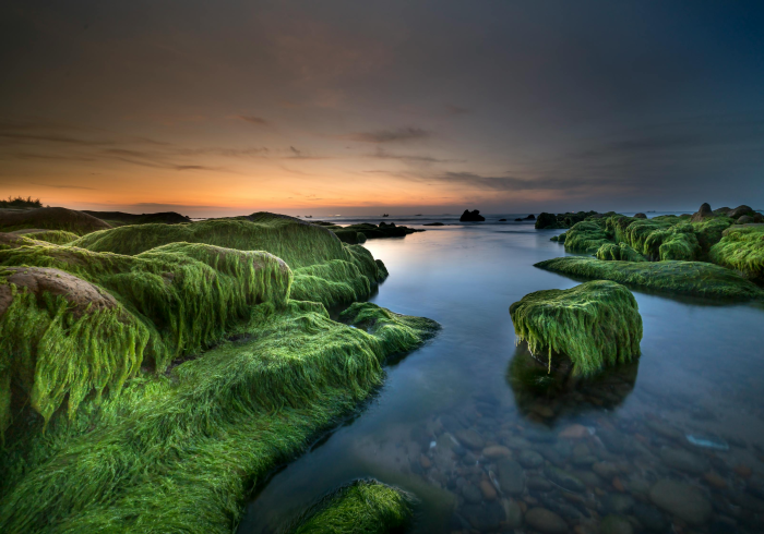 全攻略普及“微信牛牛房卡多少钱一张”房卡详细充值 全攻略普及“微信牛牛房卡多少钱一张”房卡详细充值