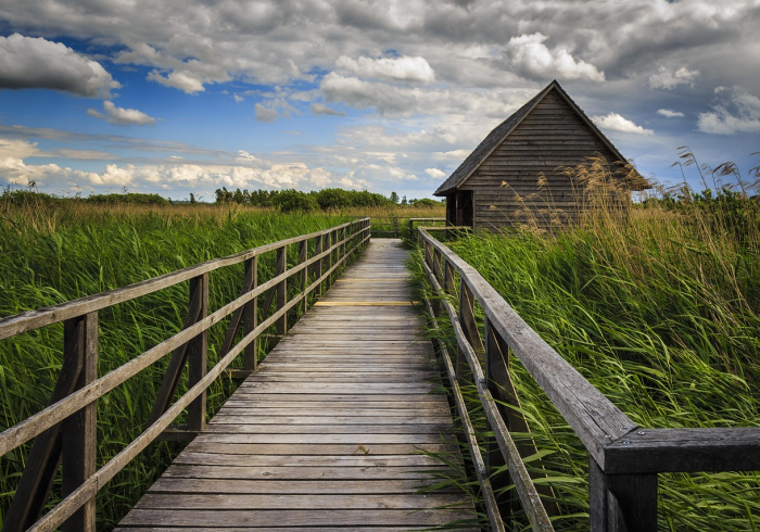 重庆合川,疫情下的坚韧之城与温度守护 重庆合川,疫情下的坚韧之城与温度守护