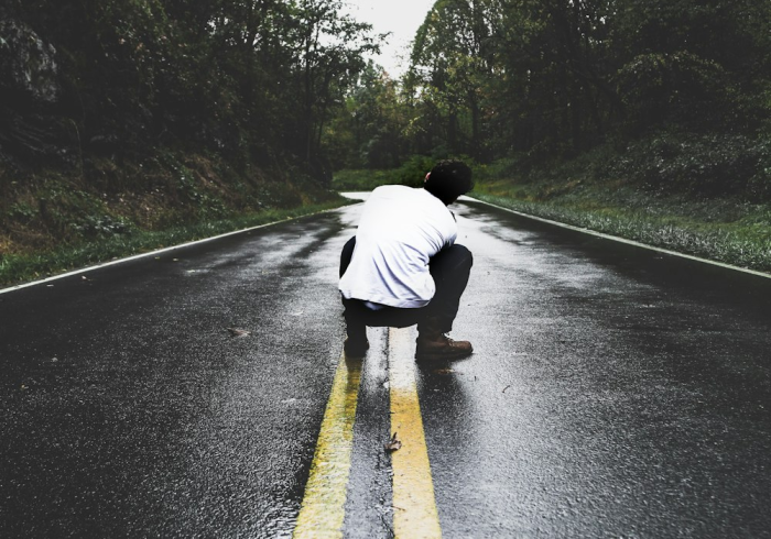 清明归途,免费通行的不仅是道路 清明归途,免费通行的不仅是道路