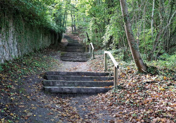 78个确诊者背后，一个被撕裂的北方村庄