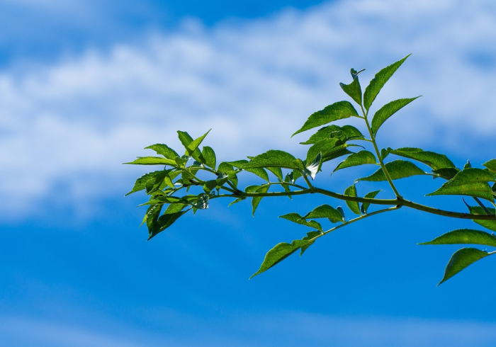 新疆疫情最新动态,科学精准防控下的坚守与希望 新疆疫情最新动态,科学精准防控下的坚守与希望