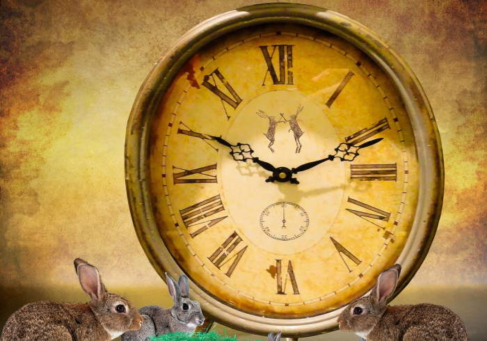 石家庄疫情发布会，等待钟声敲响的十二时辰