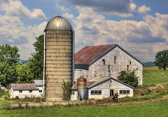 大冶打拱下载中心,数字浪潮下的乡土文化新码头 大冶打拱下载中心,数字浪潮下的乡土文化新码头